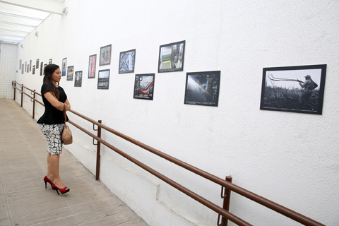 Exposição fotográfica, imagens afixadas na parede, uma mulher as admira 