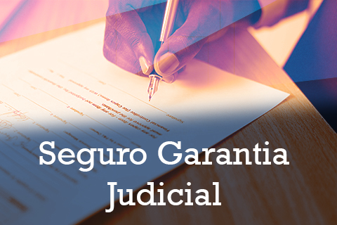 Ilustração uma pessoa assinando um documento, contém texto &quot;Seguro Garantia Judicial&quot;
