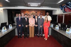 foto 15 pessoas em pé posando na sala de reuniões do pleno