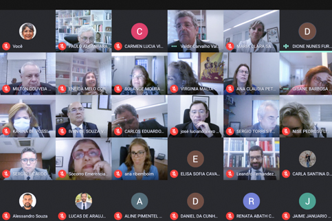 Imagem da sala de reuniões virtuais com os participantes do encontro