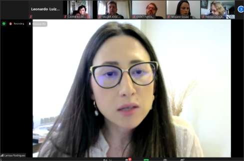Reprodução da sala de reuniões virtuais com os participantes do encontro
