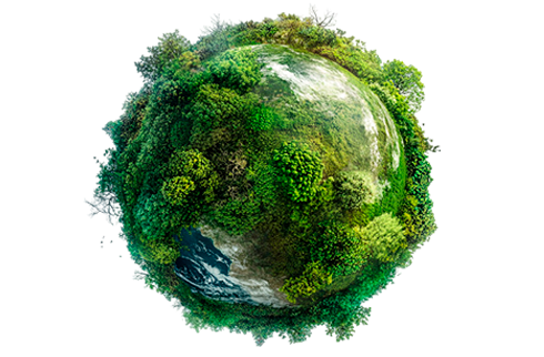Imagem do planeta Terra todo coberto por vegetação