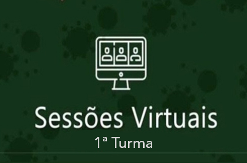 Campo verde com desenho e letras brancas. Tela de computador e a inscrição Sessões Virtuais, 1ª Turma