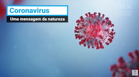 Coronavírus uma mensagem da natureza