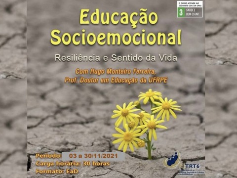 Ilustração de uma flor nascendo em meio ao alfalto